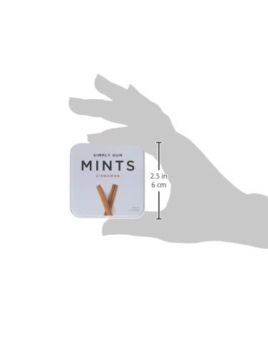 Simply Mints (Cinnamon, 1.1 oz (1 Tin)) (Pack of 2)