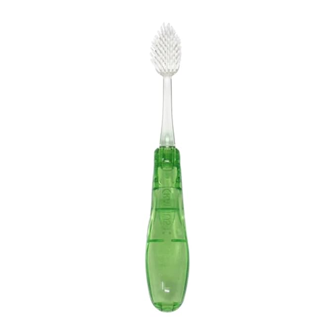 Radius Tour Travel Brush & Case with Replaceable Brush Head ADA Accepted Toothbrush Improve Gum Health - Green - Pack of 1