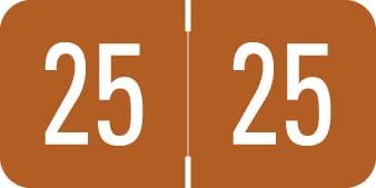 2025 Year Stickers, Doctor Stuff 2025 Chart Stickers, Brown Color Coded, GBS/VRE Style, USA Made Year Labels for End Tab File Folders, 500 Labels/Roll in a Dispenser Box, 3/4" x 1-1/2"