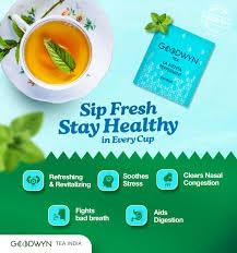 Goodwyn Peppermint Tea – 20 Herbal Tea Bags | Caffeine-Free Peppermint Flavor with Real mint Leaves | Organic mint Tea | Individually Wrapped Plastic-Free Bags | Travel-Friendly | Aromatic, Refreshing | Indian Origin Herbal Tea