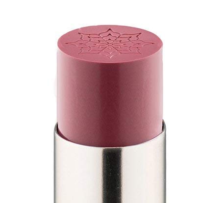 VASANTI Best Balm Forever Tinted Lip Balm - Lip Moisturizer with Natural Oils and Butters for Hydration and Long Lasting Comfort - Vegan, Paraben Free (Bestie - Neutral Plum Brown)