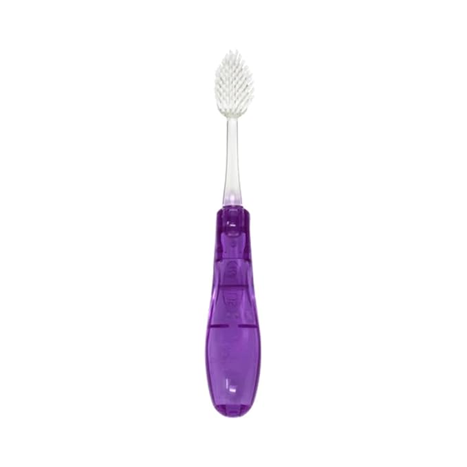 Radius Tour Travel Brush & Case with Replaceable Brush Head ADA Accepted Toothbrush Improve Gum Health - Purple - Pack of 1