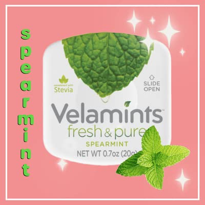 Velamints Fresh Spearmint Sugar Free Mints Tin - Fresh Breath Mint Aspartame-Free Sweetened with Stevia, 20 Gram (Pack of 6 Tins)