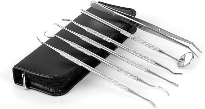 Dentist Kit Pro 6-Pack Dental Care Kit with Stainless Steel Tools - All-in-One Tooth Care Products for Personal Oral Hygiene & Pet Use