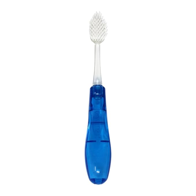 Radius Tour Travel Brush & Case with Replaceable Brush Head ADA Accepted Toothbrush Improve Gum Health - Blue - Pack of 1