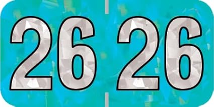 2026 Year Stickers, Doctor Stuff 2026 Chart Stickers, Holographic Aqua Colored, USA Made Year Labels for End Tab File Folders, 500 Labels per Roll, 1 Roll, 3/4" x 1-1/2"