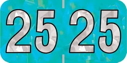 2025 Year Stickers, Doctor Stuff 2025 Chart Stickers, Holographic Aqua Colored, USA Made Year Labels for End Tab File Folders, 500 Labels per Roll, 1 Roll, 3/4" x 1-1/2"