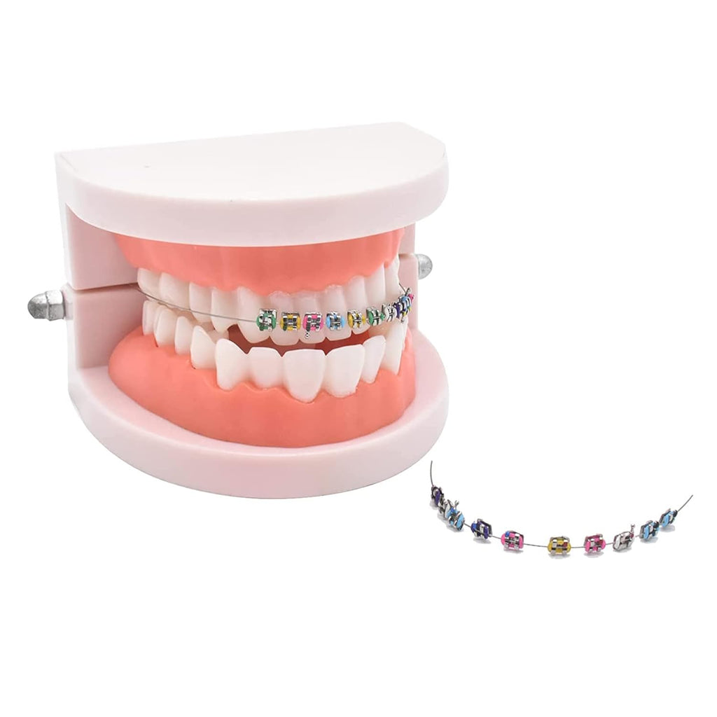 1 Pack Temporary Tooth Decoration with Metal Wires,Metal Bracket and Orthodontic Ligature Ties,Practice Props for Dental Students,Orthodontist Explain Props （ Multiple Colors）