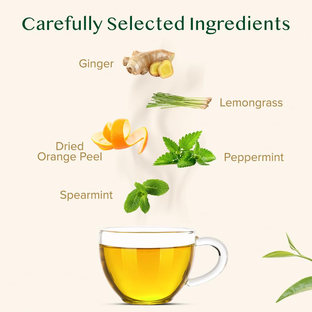 VAHDAM, Citrus Ginger Herbal Tea Tisane (50 Cups, 3.53 oz) Gluten Free, Non GMO | Ginger, Lemongrass, Orange Peels, Mint | Herbal Tea Loose Leaf | Vacuum Sealed Pack