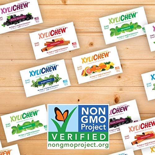 Xylichew 100% Xylitol Chewing Gum - Non GMO, Non Aspartame, Gluten Free, and Sugar Free Gum - Natural Oral Care, Relieves Bad Breath and Dry Mouth - Cinnamon, 288 Count