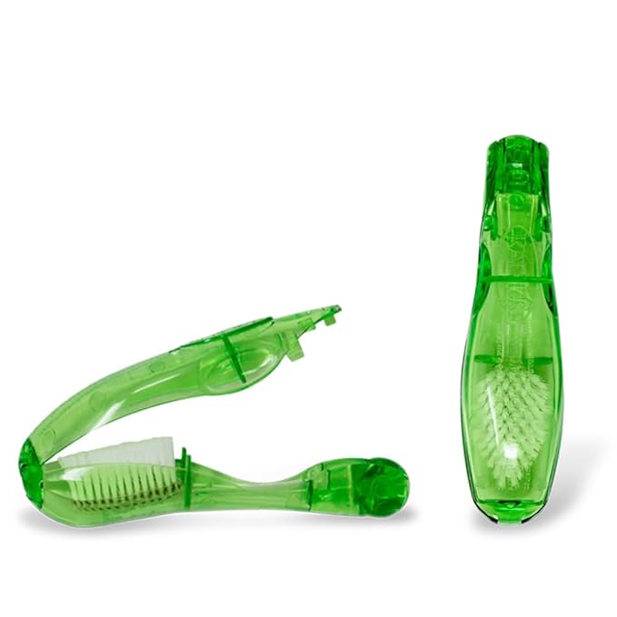 Radius Tour Travel Brush & Case with Replaceable Brush Head ADA Accepted Toothbrush Improve Gum Health - Green - Pack of 1