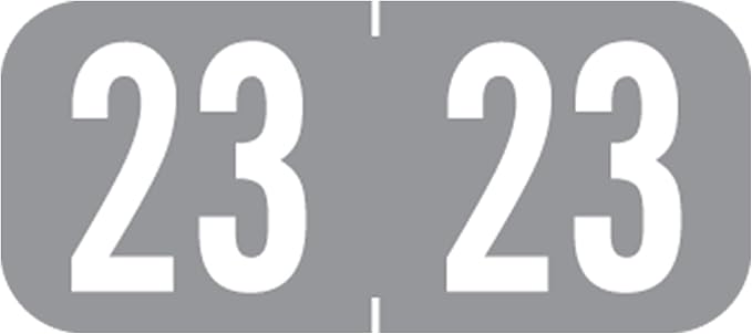 2023 MINI Year Stickers, Doctor Stuff 2023 Chart Stickers, Gray Colored, Tab 1287 Style, USA Made Year Labels for End Tab File Folders, 500/Roll, 1 Roll, 1/2" x 1-1/8"