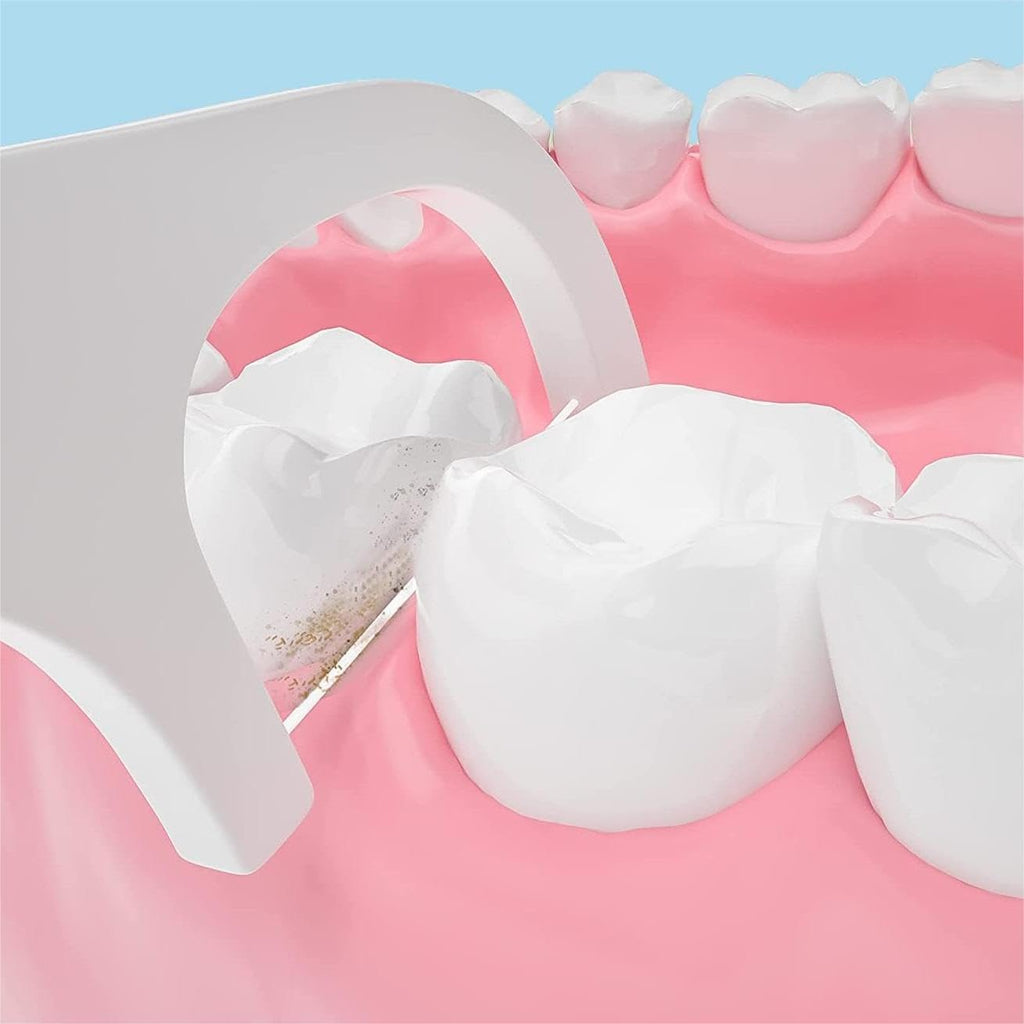 200PCS Dental Floss Sticks - Disposable Toothpicks for Teeth Cleaning, Teeth Sticks, Tooth Picks, Floss Picks (200 Picks)