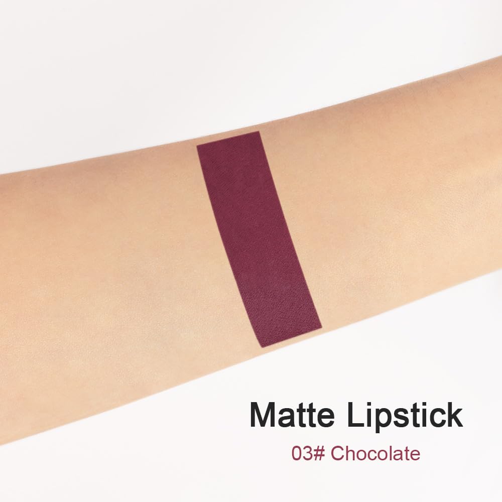 evpct 1Pcs Dark Grape Purple Matte Lipstick and Lip Crayon Liner Pencil Set for Women Lip Stain Long Lasting Waterproof labiales mate magicos 24 horas originales pintalabios permanente 24 horas 03