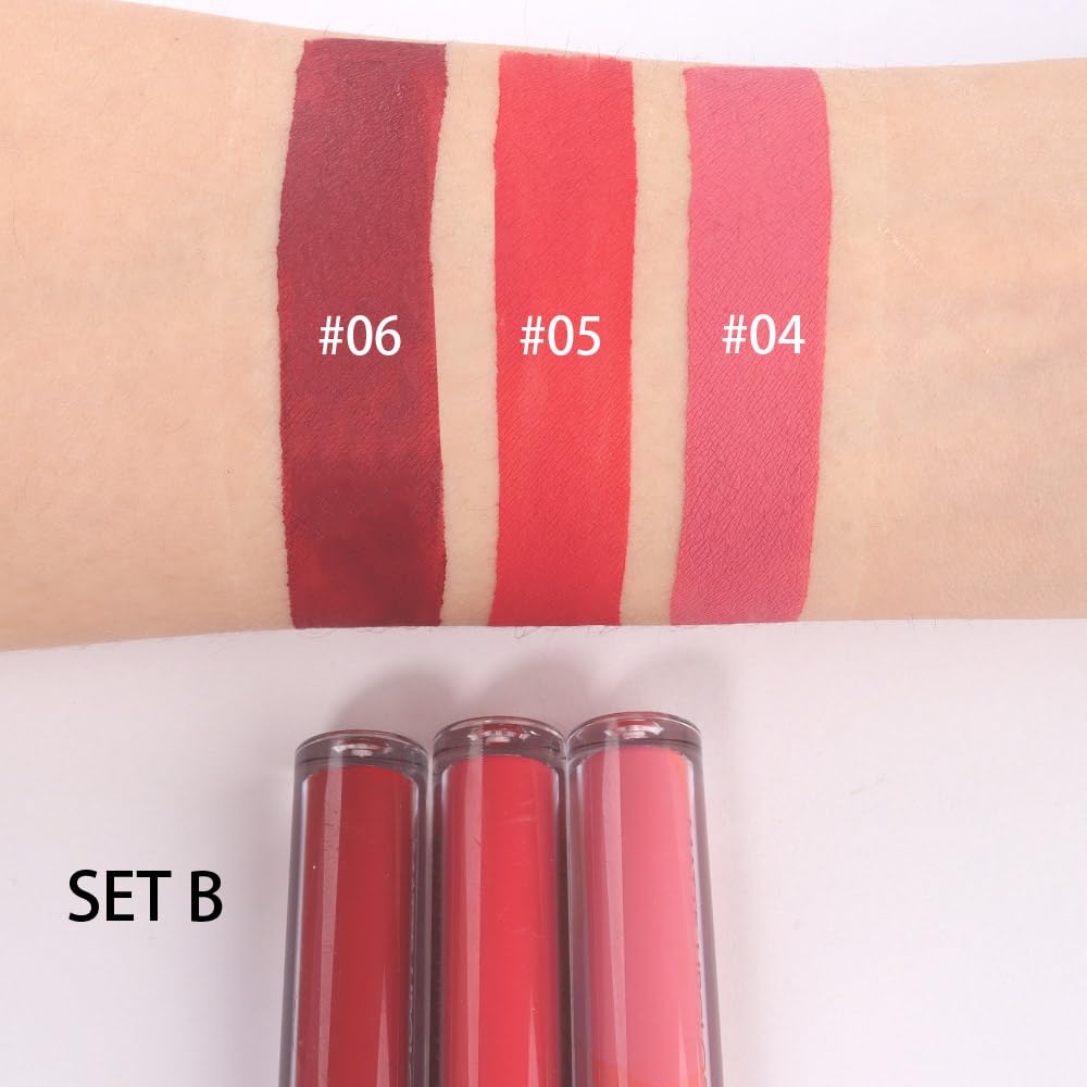 AMY'S DIARY Matte Plum Liquid Lipstick 3Pcs Sets,24-hour Lipstick Dark Deep Maroon Purple Brown Plum Red Lip Stain 24 Smudge Waterproof for Women (B#)
