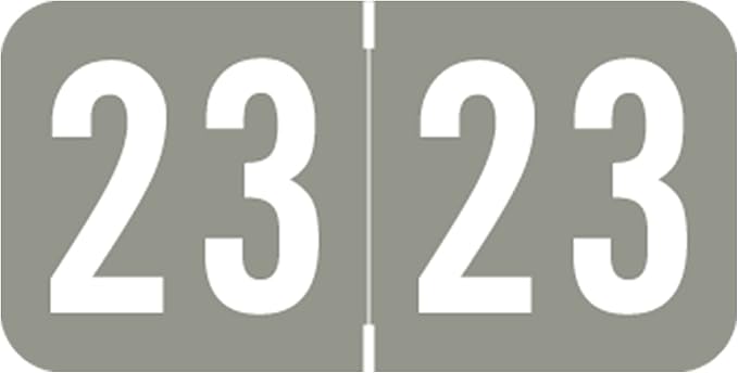 2023 Year Stickers, Doctor Stuff 2023 Chart Stickers, Gray Colored, STS/SFI Style, USA Made Year Labels for End Tab File Folders, 500/Roll, 1 Roll, 3/4" x 1-1/2"