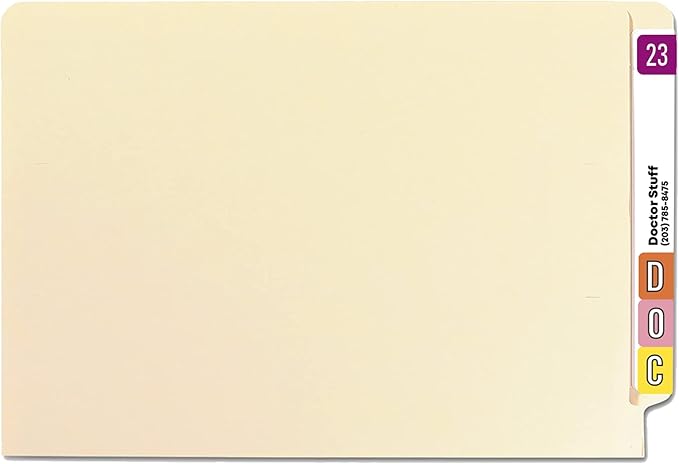 2023 Year Stickers, Doctor Stuff 2023 Chart Stickers, Purple GBS/VRE Style, USA Made Year Labels for End Tab File Folders, 500 Labels/Roll in a Dispenser Box, 3/4" x 1-1/2"