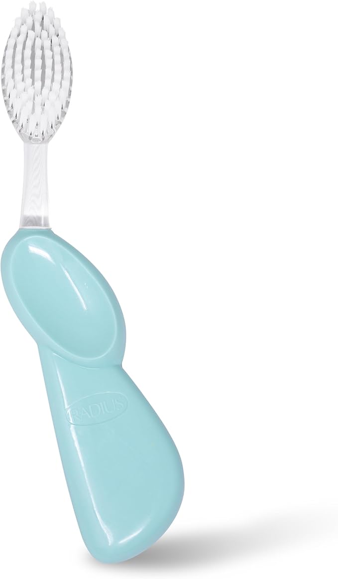 RADIUS Toothbrush Big Brush with Replaceable Brush Head BPA Free ADA Accepted - Right Hand - Pastel Mint Brush with Pastel Mint Case