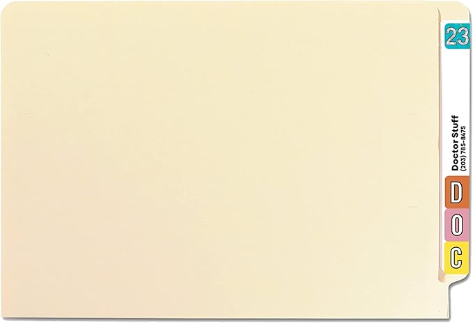 2023 Year Stickers, Doctor Stuff 2023 Chart Stickers, Holographic Aqua Colored, USA Made Year Labels for End Tab File Folders, 500 Labels per Roll, 1 Roll, 3/4" x 1-1/2"