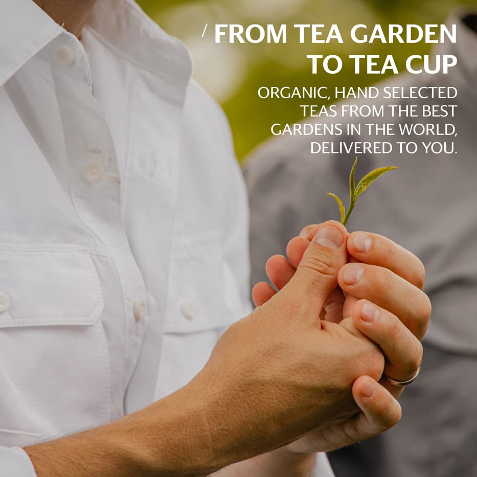 Grace Farms Organic SPEARMINT ROSE Herbal Tea (100 Enveloped Pyramid Sachets w/ String & Tag) | Naturally Sweet, Stress Relieving and Caffeine Free | Organic, Fair Trade and Kosher Certified | Delicious Iced Tea | Gives Back 100% of Profits