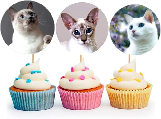 1.5" Cat Stickers for Kids Teachers, 500 Pcs Cat Kitten Stickers for Toddlers Birthday Party, School Reward, Giveaways