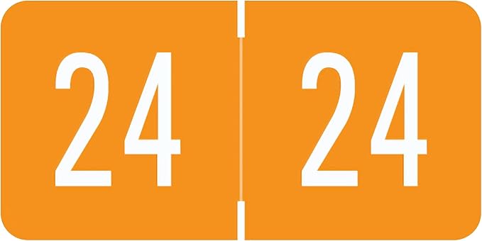 2024 Year Stickers, Doctor Stuff 2024 Chart Stickers, Orange GBS/VRE Style, USA Made Year Labels for End Tab File Folders, 500 Labels/Roll in a Dispenser Box, 3/4" x 1-1/2"