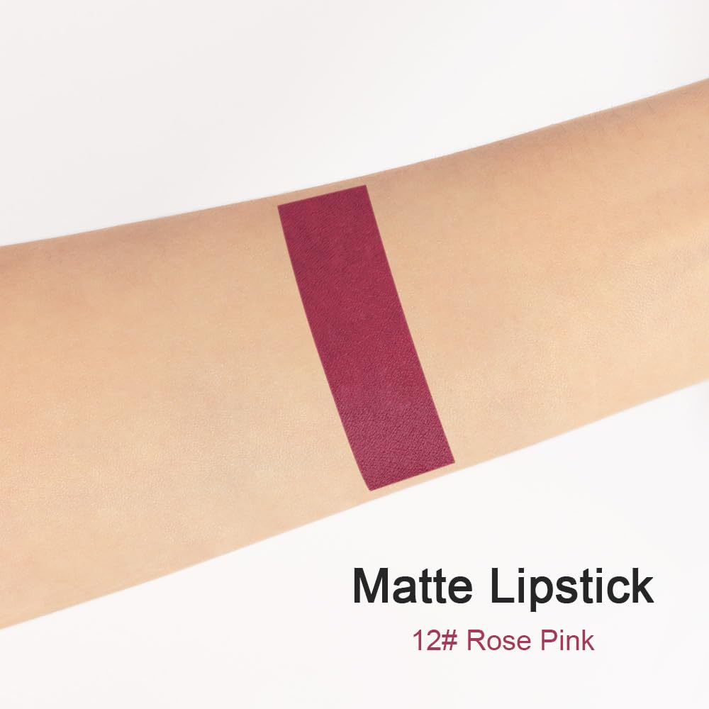 evpct 1Pcs Wine Red Matte Lipstick and Lip Crayon Liner Pencil Pen Set for Women Lip Stain Long Lasting Waterproof labiales mate magicos 24 horas originales pintalabios permanente 24 horas 12