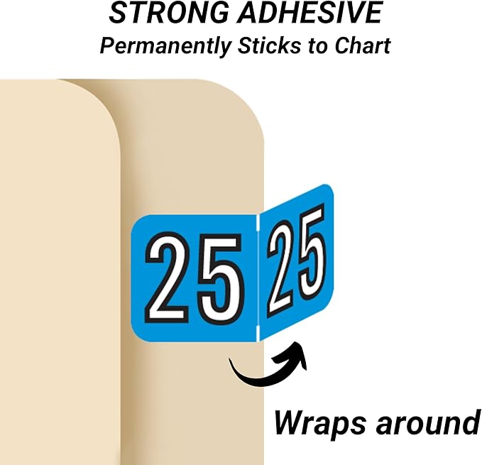 2025 Year Stickers, Doctor Stuff 2025 Chart Stickers, Blue/Black Color Coded, Barkley FYBAM Style, USA Made Year Labels for End Tab File Folders, 500/Roll, 1 Roll, 3/4" x 1-1/2"