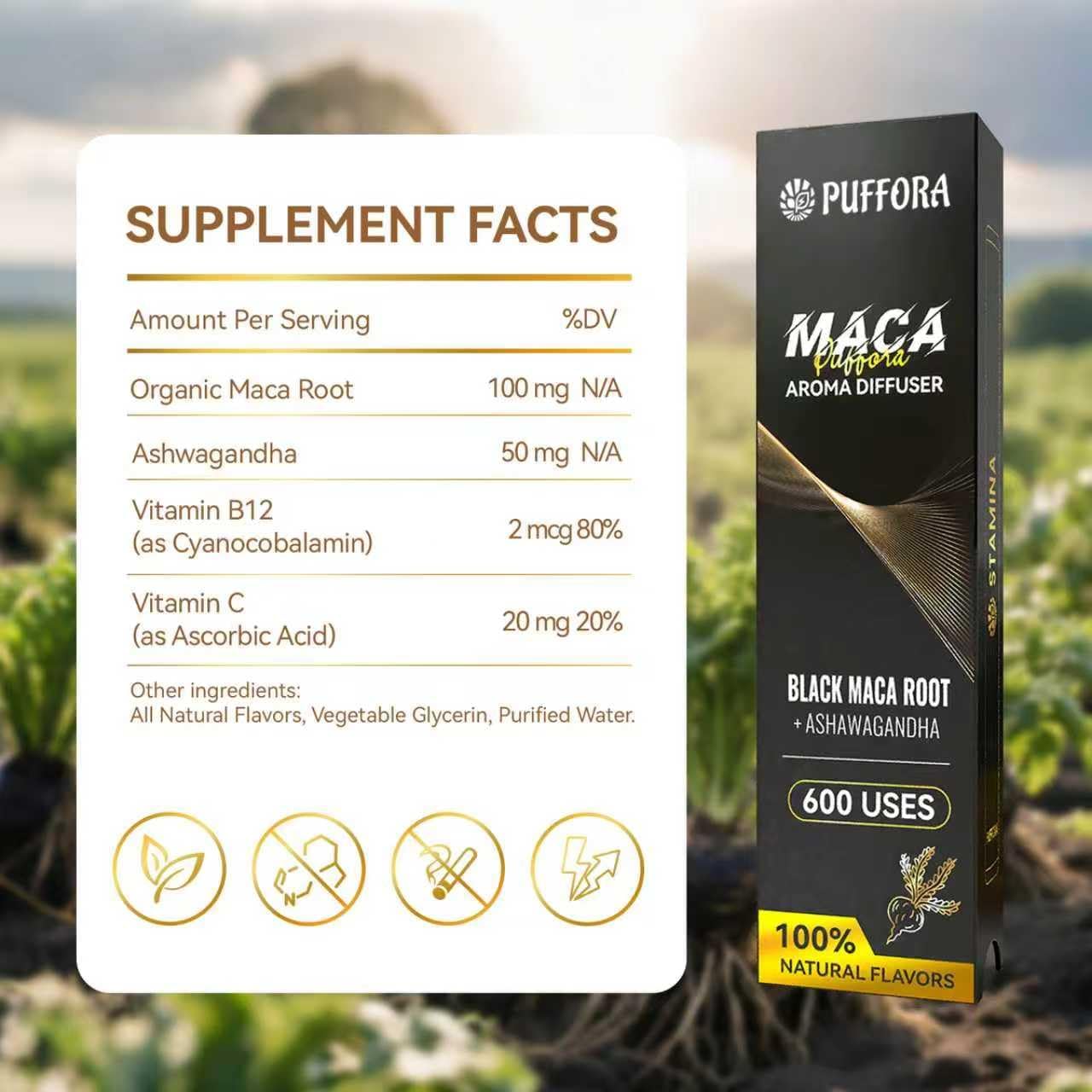 2 Pack, Maca Diffuser (Ashwagandha, B12, C) + Mullein Diffuser (Marshmallow Root, Mint) – Mixed Set, Herbal Anxiety Pen, Clean Breaths & Daily Vitality