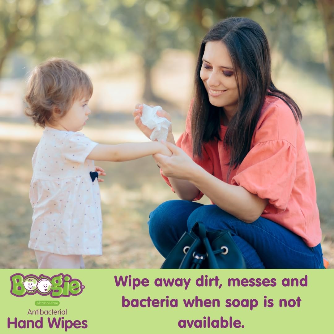 Antibacterial Hand Wipes by Boogie, Alcohol Free, Hypoallergenic and Moisturizing Aloe, Hand Wipes for Kids and Adults, 6 Packs of 20 (120 total wipes)