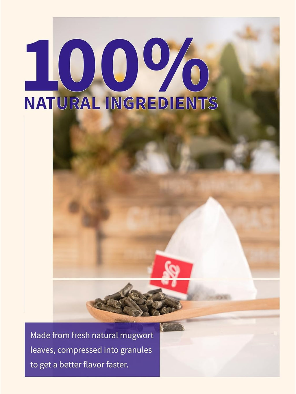 TeeLux Mugwort Tea Bags - Natural Dried Mugwort Herb Tea, Caffeine Free, 40 Tea Bags