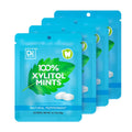 DC24 DAILY CARE 100% Xylitol Mints | Aspartame Free, Sugar Free, Vegan, Gluten Free & Keto Friendly | Natural Peppermint Flavored Mints, 25 Piece-Pack, 4 Packs