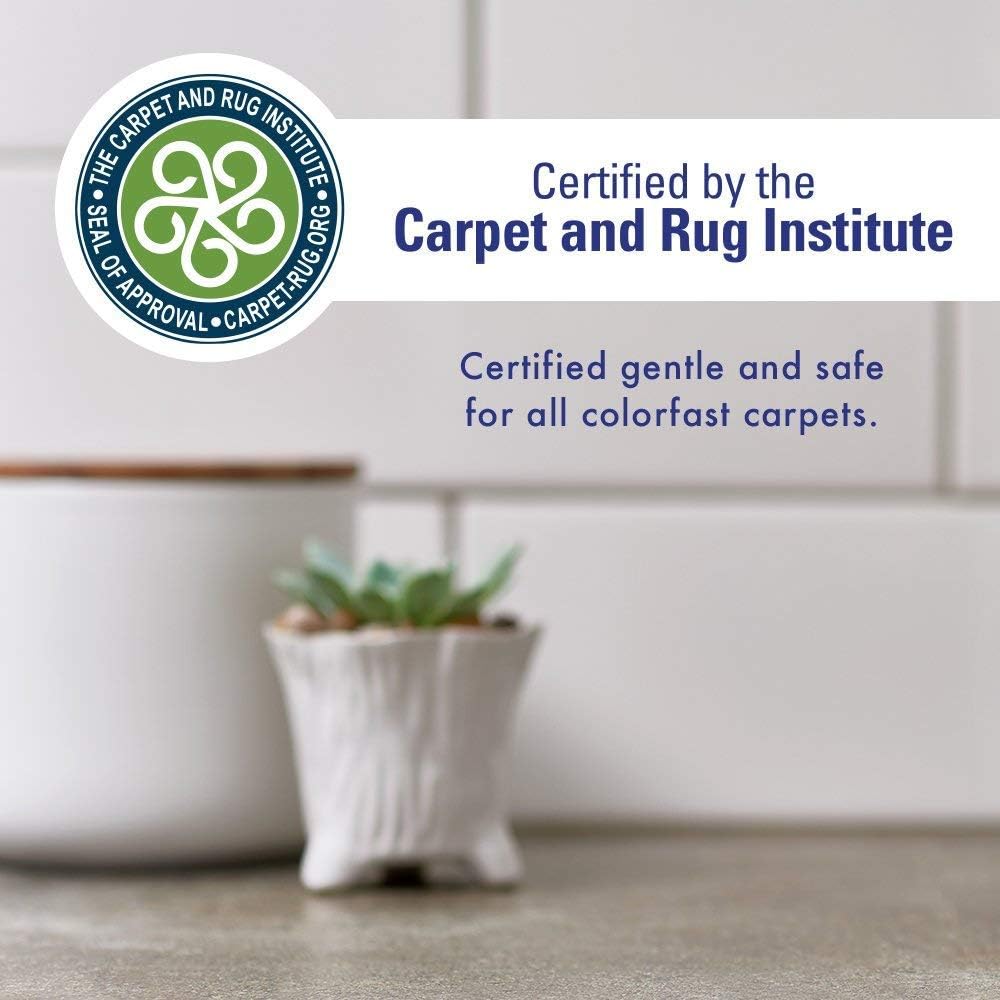 Rocco & Roxie Oxy Stain Remover - Oxygen Powered Carpet Cleaner Spray - Pet Stain Remover for Carpet, Spot Cleaner for Upholstery, Couch, Laundry, Rug, Clothes, Car Seat, Mattress, Sofa, and More