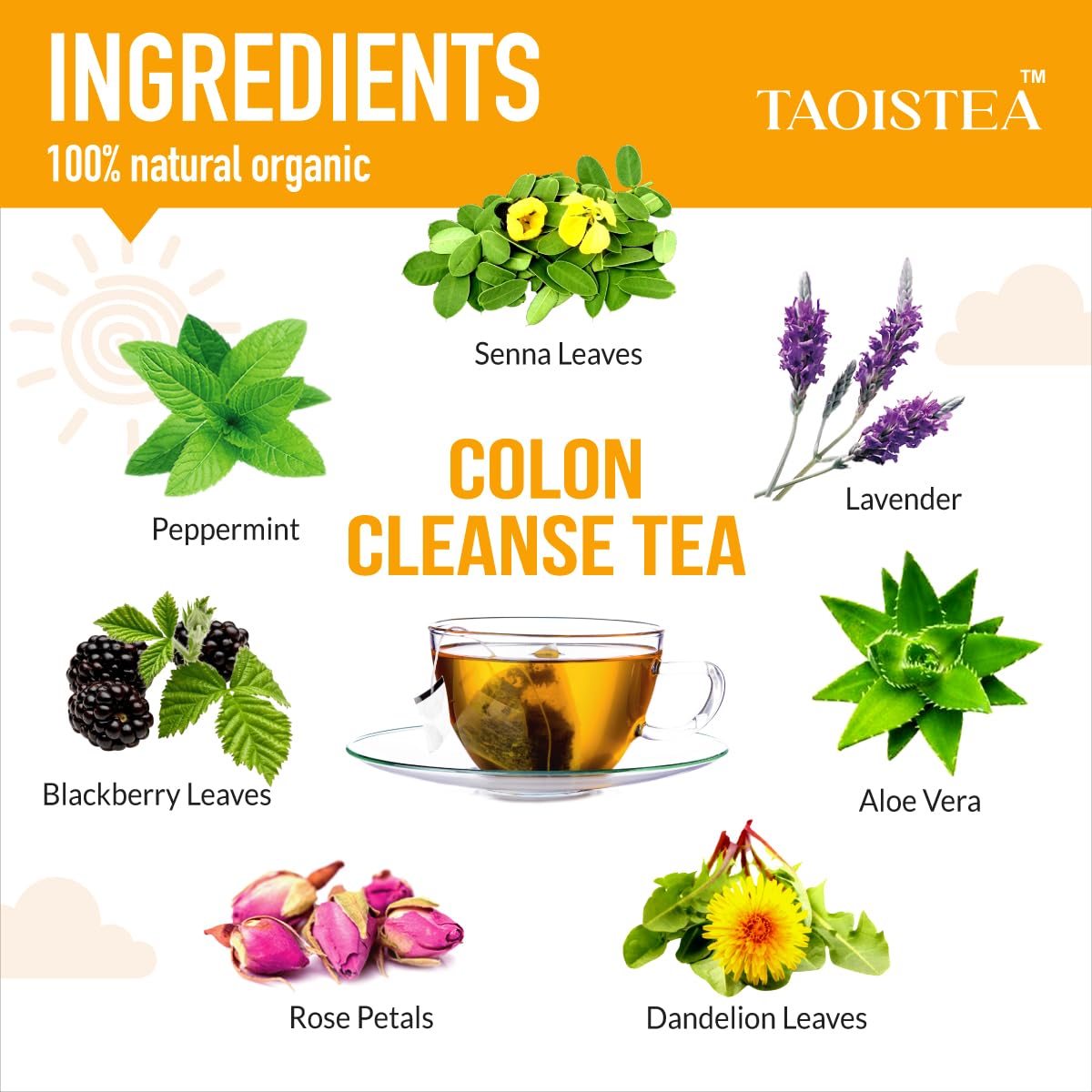 TAOISTEA Colon Cleanse Tea, Herbal Tea Blend with Senna, Peppermint, Dandelion Aloe Vera, Improve Digestive Health and Gental Gut Cleanse - 14 Bags