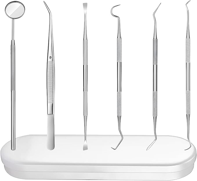 6 Pieces Dental Tools Set, Professional Stainless Steel Dental Hygiene Cleaning Kit with Case, Including Dental Mirror, Plaque Tartar Remover for Teeth, Tweezers, Probe, and Pick Scaler for Oral Care