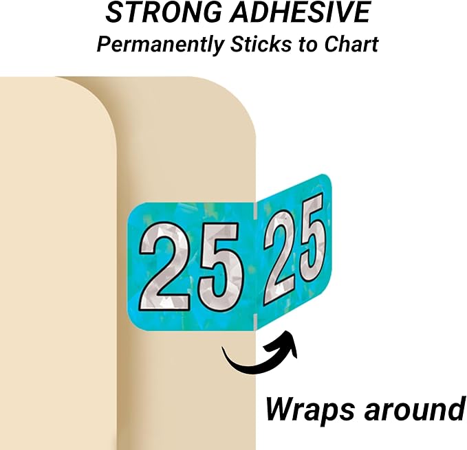2025 Year Stickers, Doctor Stuff 2025 Chart Stickers, Holographic Aqua Colored, USA Made Year Labels for End Tab File Folders, 500 Labels per Roll, 1 Roll, 3/4" x 1-1/2"