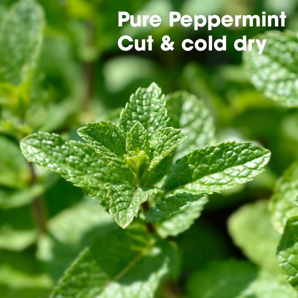 Peppermint (Mint) Tea Bags Pyramid with String - Strong Taste of Menthol - Throat Soothing for Cough & Mucus Relief, Freshen Breath, Digestive Support - Premium Peppermint Leaves (Mentha Piperita)