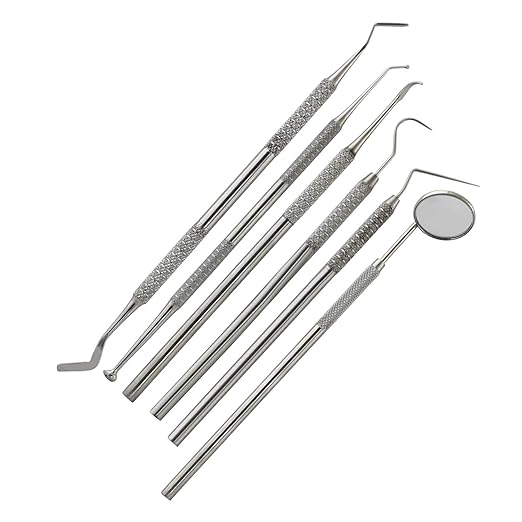 Dental Tools, 6 Pack Upgraded Teeth Cleaning Tools Stainless Steel Dental Scaler Pick Tools Set Plaque Remover Kit PR-348