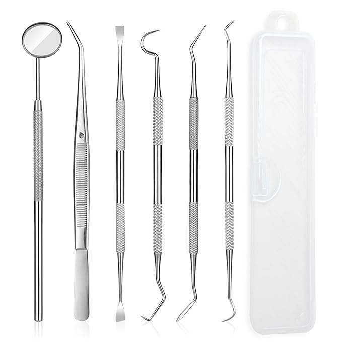 6 Pcs Dental Tools Set, Stainless Steel Teeth Cleaning Tools with Case, Including Dental Mirror, Plaque Tartar Remover for Teeth, Tweezers, Probe, and Pick Scaler for Oral Care