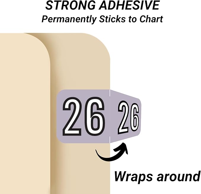 2026 Year Stickers, Doctor Stuff 2026 Chart Stickers, Purple/Black Color Coded, Barkley FYBAM Style, USA Made Year Labels for End Tab File Folders, 500/Roll, 1 Roll, 3/4" x 1-1/2"