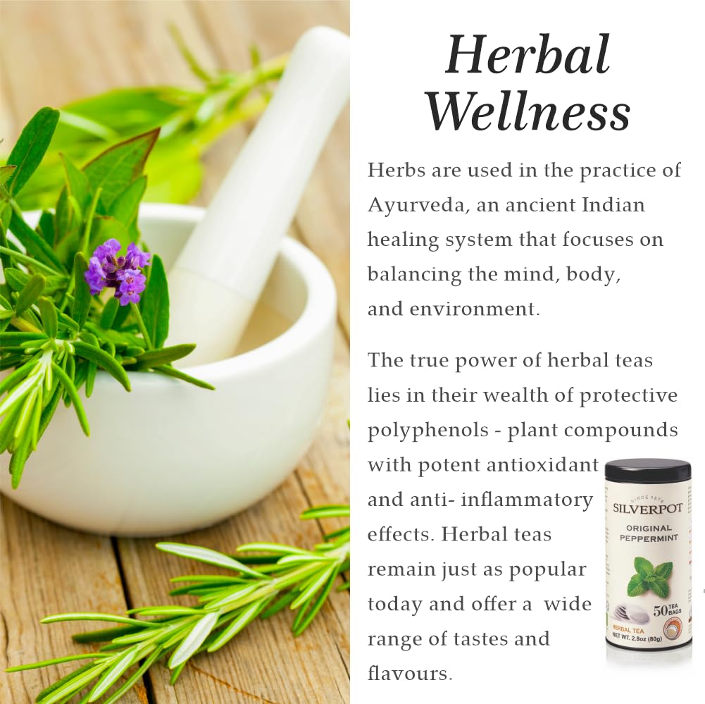 Silverpot Original Peppermint Tea Bags - 50 Round Bags | Natural, Refreshing Mint | Caffeine Free, Herbal | Reusable Tin