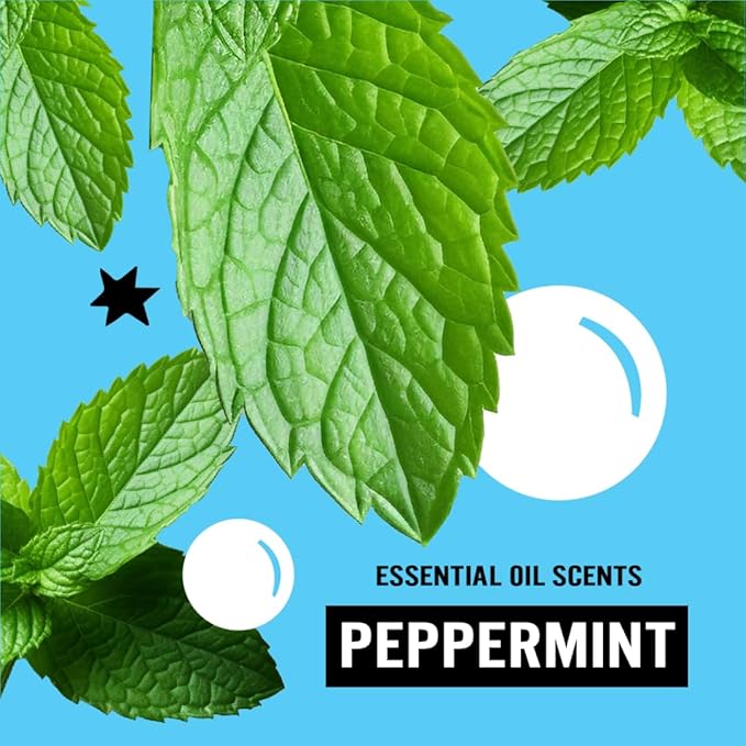 Molly's Suds Foaming Hand Soap - Made with Aloe and Coconut Oil | Moisturizing Hand Wash | Clean Ingredients, Infused with Essential Oils | Peppermint - 8.25 Oz (Pack of 3)