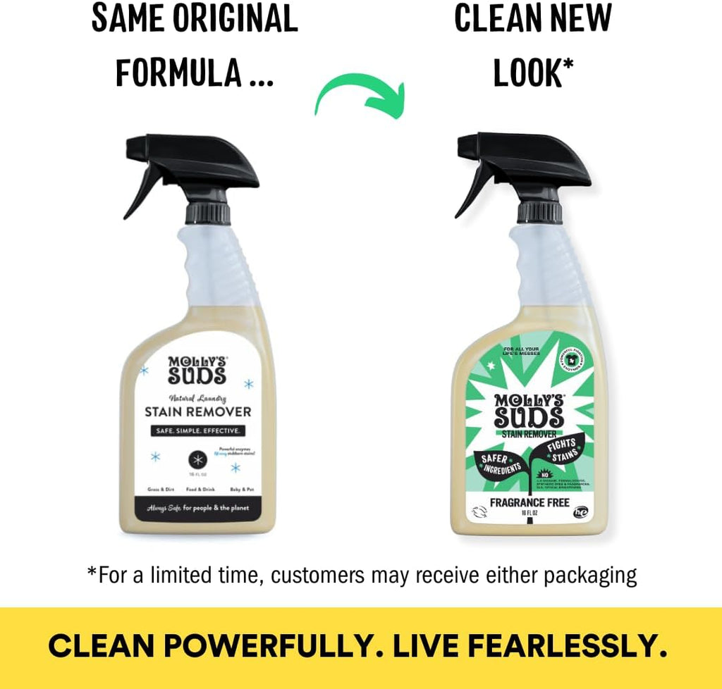 Molly's Suds Stain Remover Spray | Gentle Yet Powerful, Great for Baby & Pet Stains | Clean, Simple Ingredients (Fragrance Free) (16 Fl Oz (Pack of 2))