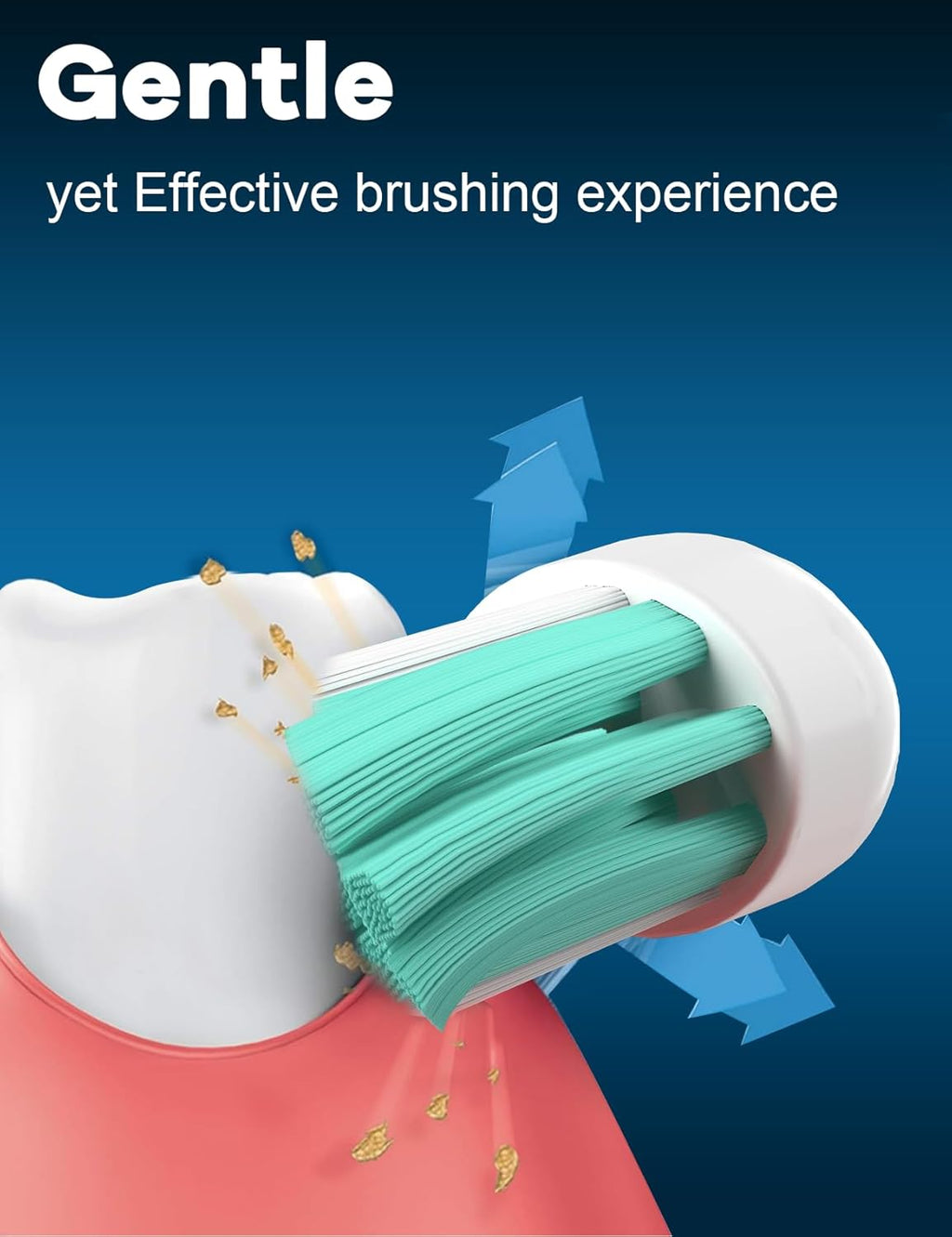 Toothbrush Replacement Heads for Philips Sonicare: Sonic Replacement Heads Compatible with Phillips Electric Toothbrush ProtectiveClean 4100 5100 5300 C2 G2 C1 W, Medium Soft - 8 Pack