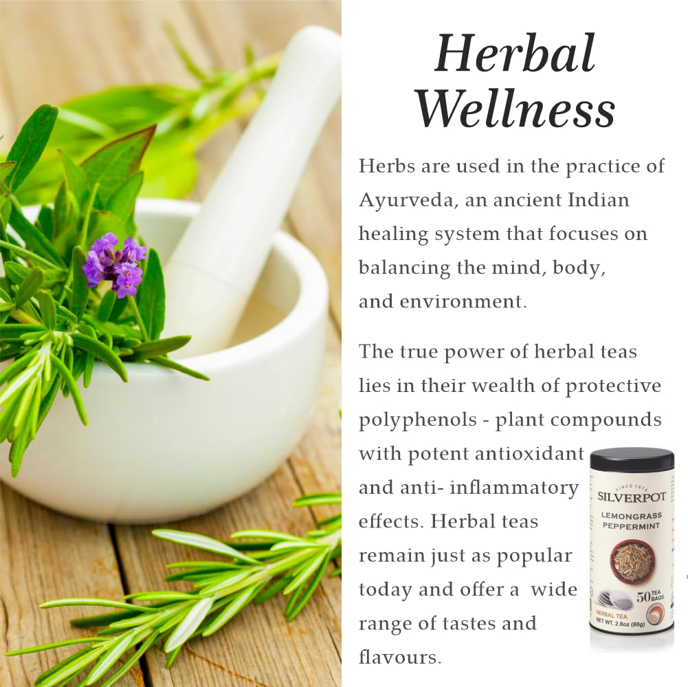 Silverpot Lemongrass & Peppermint - 50 Round Tea Bags | Cooling Citrus Mint Flavor | 100% Natural | Caffeine Free | Reusable Tin