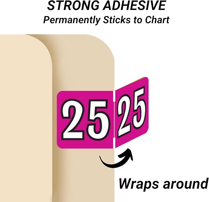 2025 Year Stickers, Doctor Stuff 2025 Chart Stickers, Fuchsia/Black Color Coded, Colwell Jewel Tone Style, USA Made Year Labels for End Tab File Folders, 500/Roll, 1 Roll, 3/4" x 1-1/2"