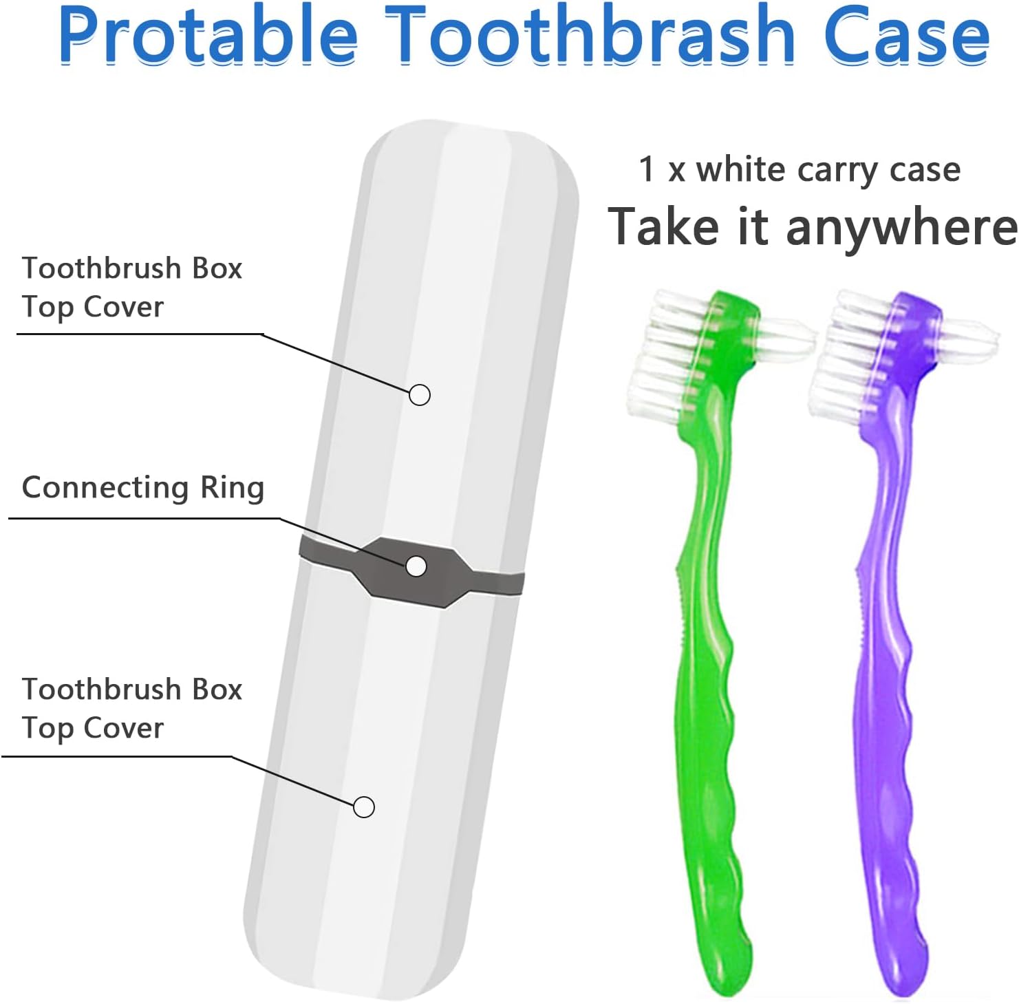 2-Piece Denture Cleaning Brush Set - Multi-Layered Bristles False Toothbrush with Ergonomic Handle and White Carrying Case for Fake Teeth Cleaning, Travel-Sized Oral Care Tool (Green&Purple, One Size)