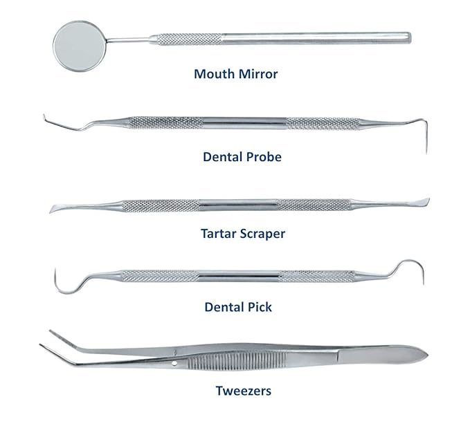 Professional Dental Hygiene Kit | Dentists Tools for Calculus & Plaque Removal | Stainless Steel Tarter Scraper, Probe, Scaler, Tweezers, Mouth Mirror and Free Protective Case for Humans and Pets