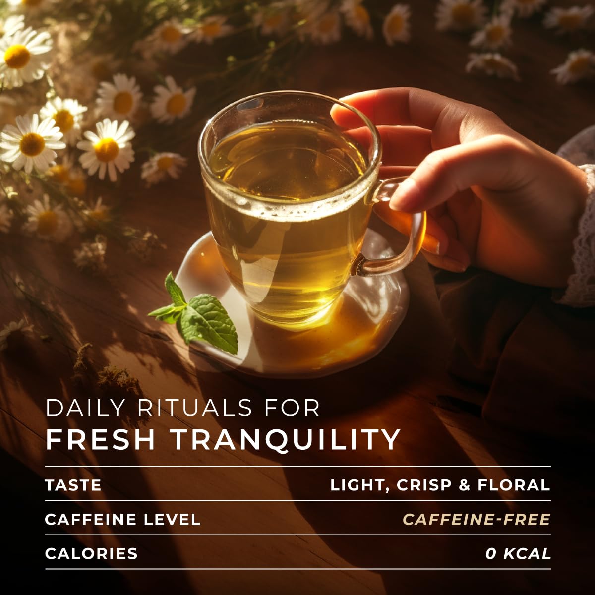 Gya Tea Co Chamomile Mint Herbal Tea Pod (16 ct) - Decaf Tea Flavorful Burst for Calming & Relaxing