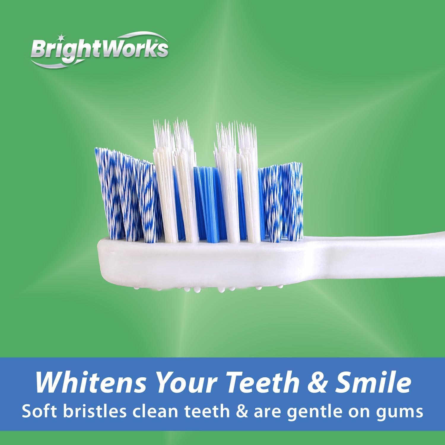 BrightWorks Toothbrush with Replaceable Heads - ECO-Friendly 100% PCR Handle with Aluminum Core, Soft Bristle Whitening Manual Toothbrush, Whole Mouth Cleaner (1 Handle + 2 Brush Heads)